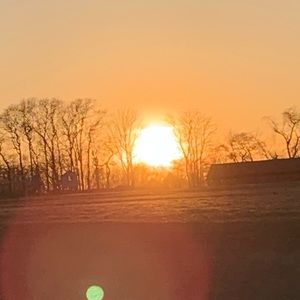 Meet your Posher, Ava